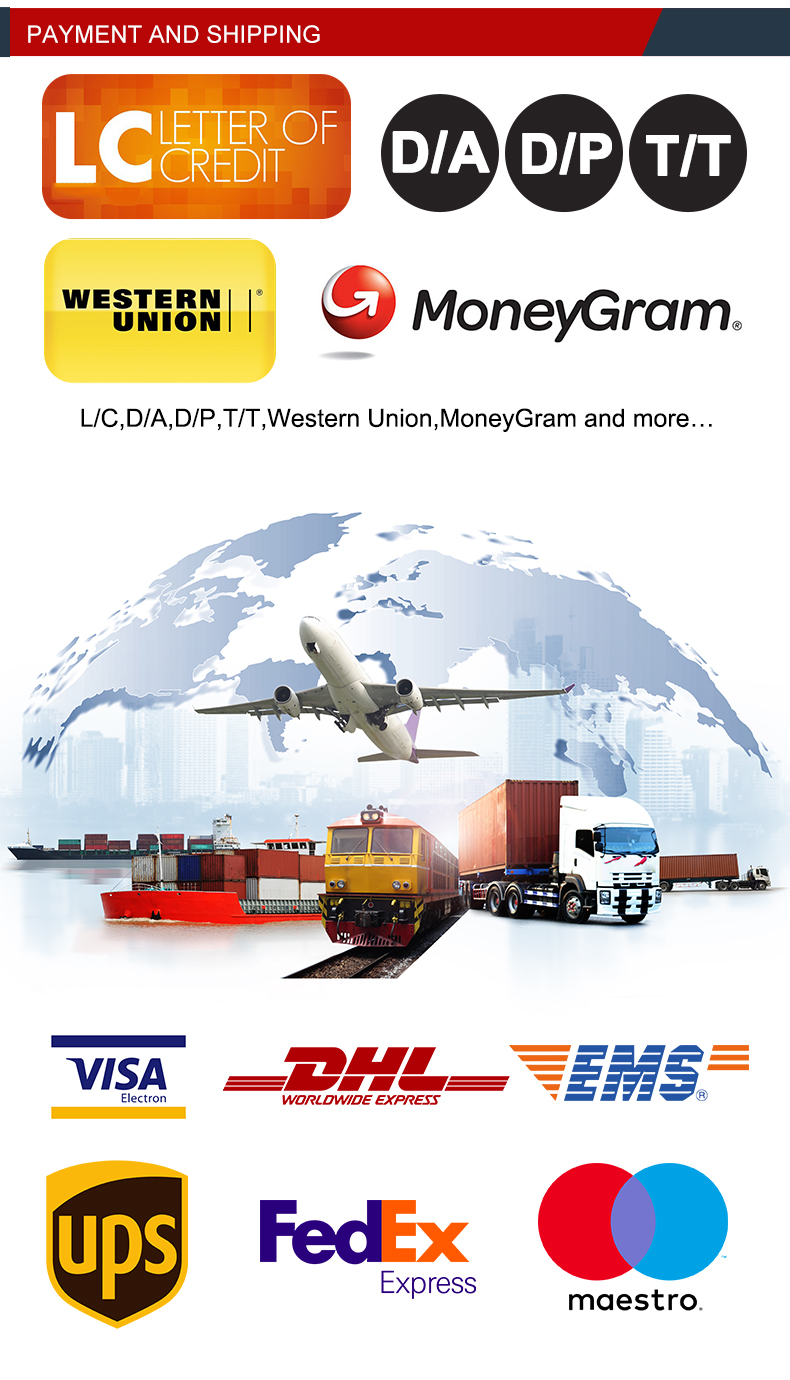 HT-L25 skid steer loader