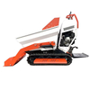 Outdoor Versatile Petrol Engine Drive Mini Dumper