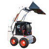 Skid Steer Loader HTS50